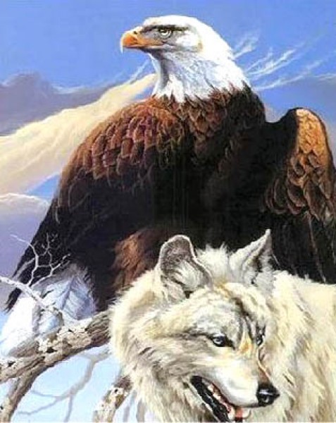 Diamond painting "Wolf-Eagle" 50x40 ronde steentjes
