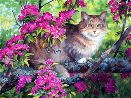 Daimond painting 50x40 cm "Perzische kat" ronde steentjes