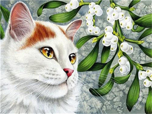 Daimond painting 50x40 cm "Witte kat" ronde steentjes