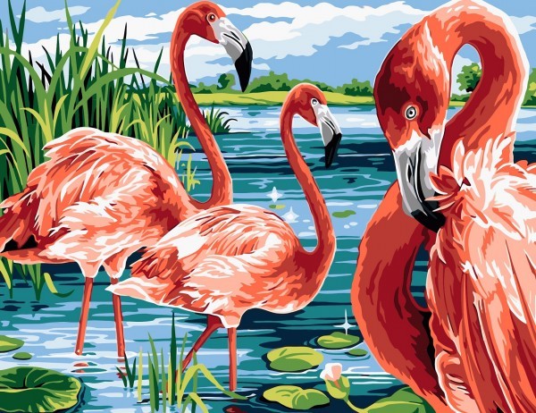Flamingo schilderen op nummer 50x40 cm